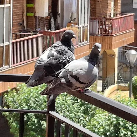 Apartment Con Posibilidad Parking Con 3 Y 2 Banos 5 Personas Bilbao